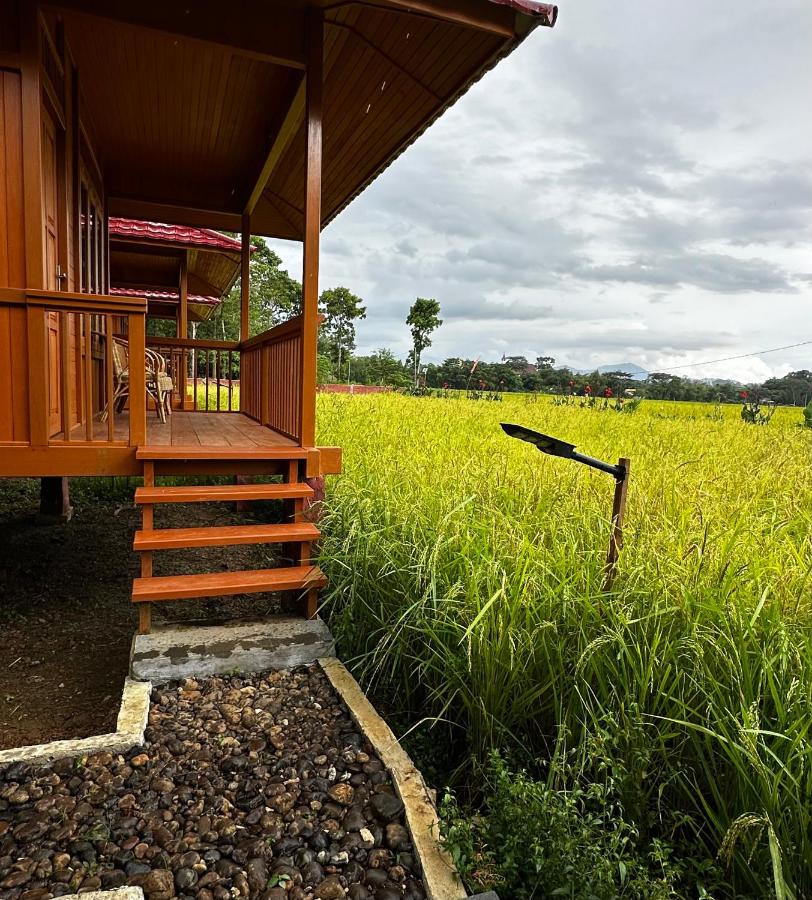 Bait Lino - B&B Rantepao