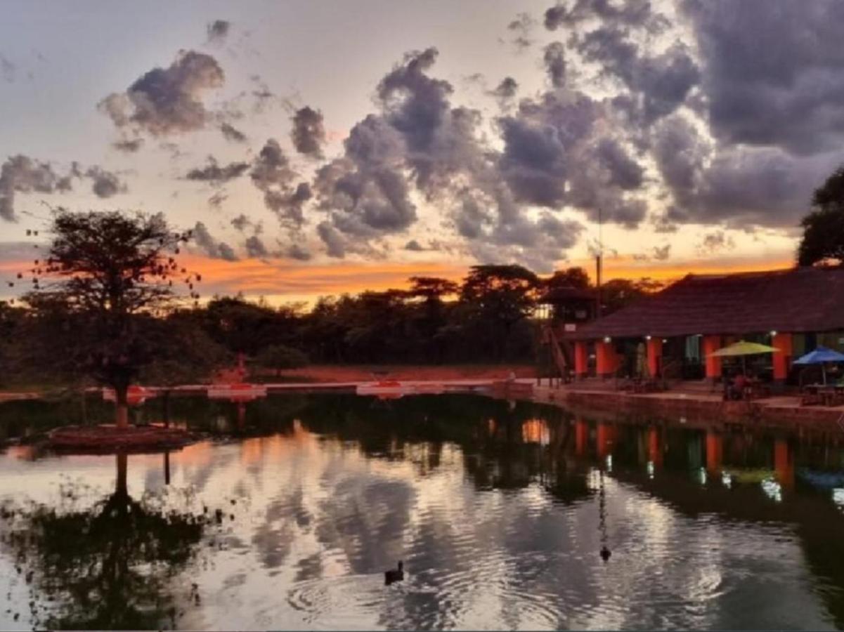 Rondevue Game Lodge - B&B