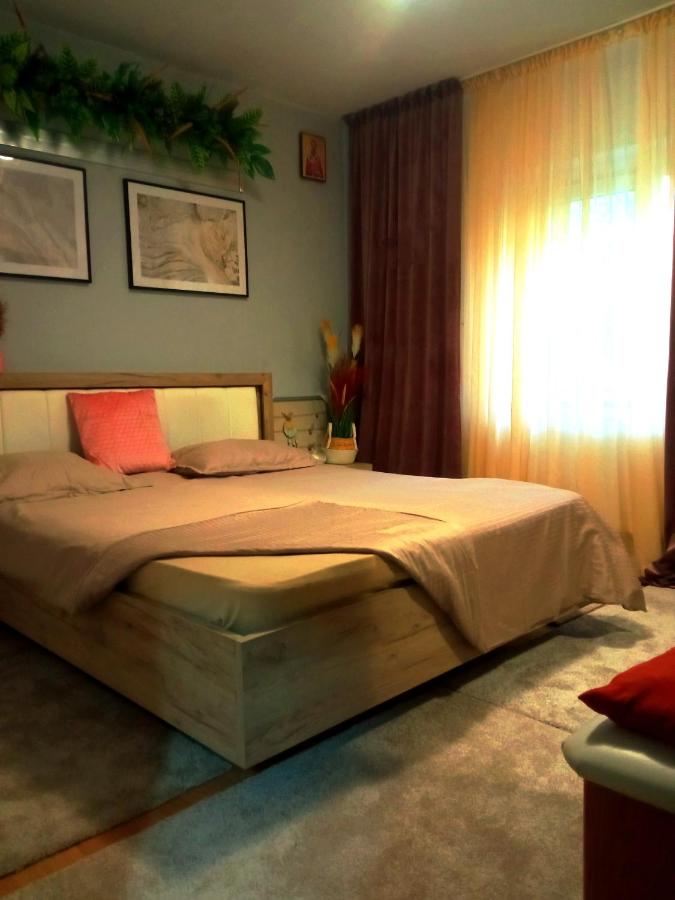 Bubu și Bubulina - Ferienwohnung Galatz