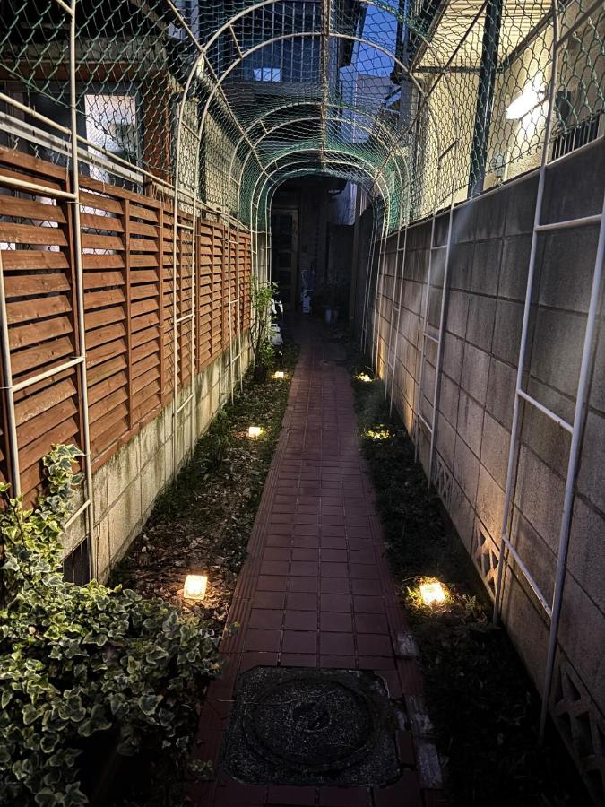 陽だまりのうたたねこ - B&B Tokyo