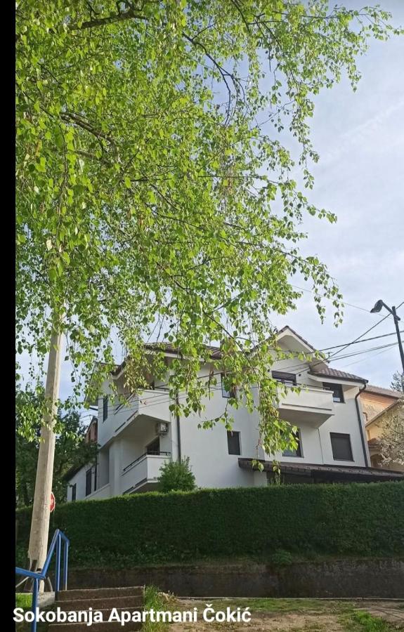Apartmani Čokić Sokobanja - B&B