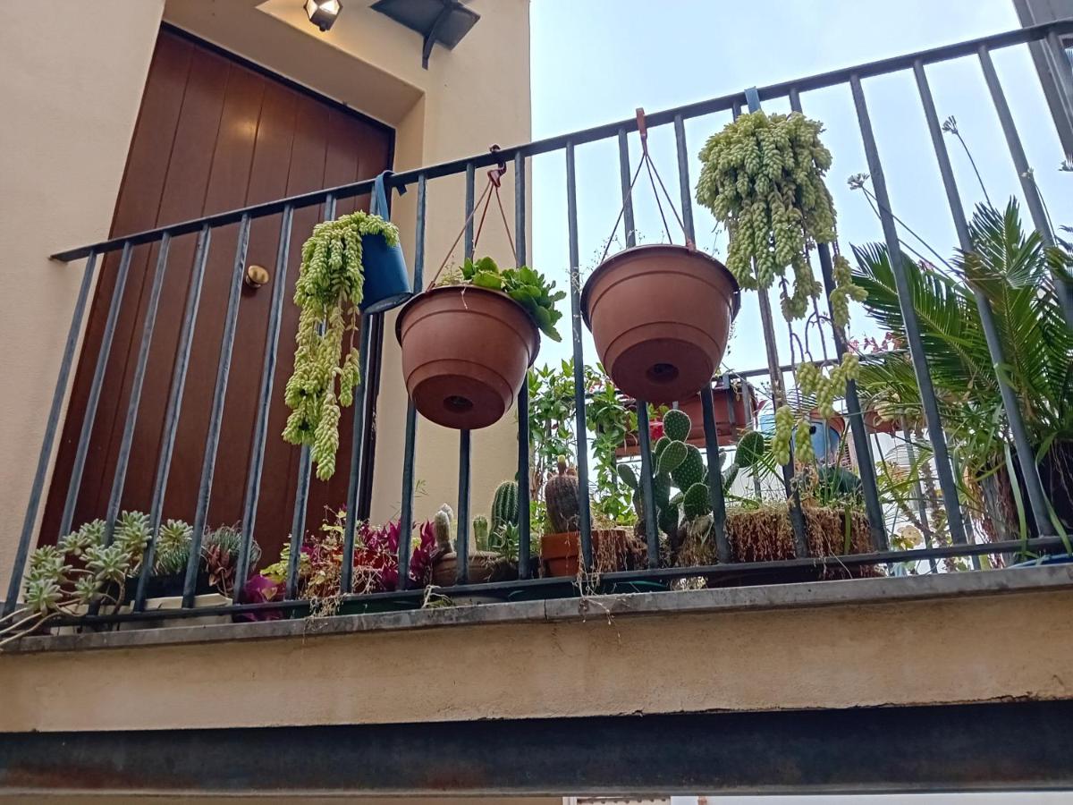 Capo - B&B Palermo