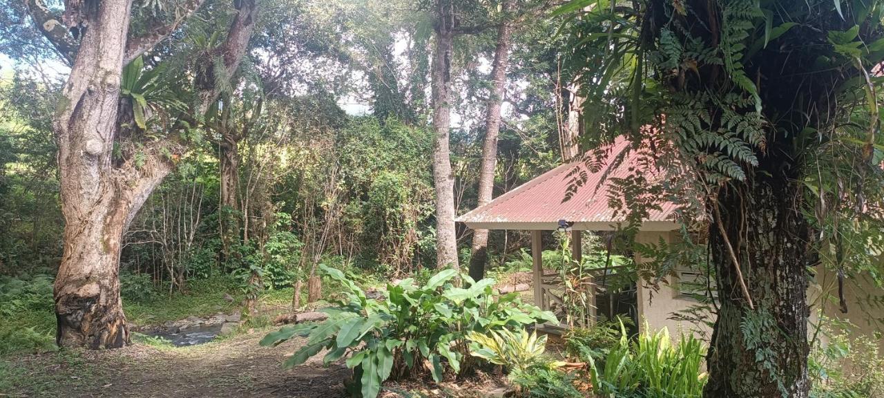 Sarramea Dépaysement Bungalow Déconnexion - Chambres d’hôtes Sarraméa