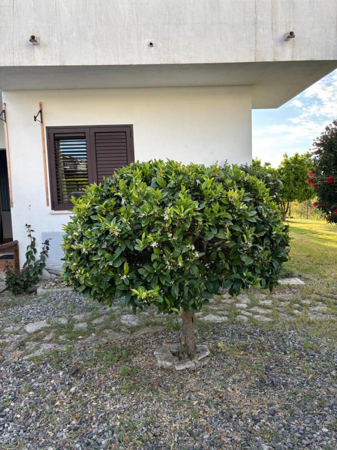 Apartment F24 Stignano Favaco - B&B