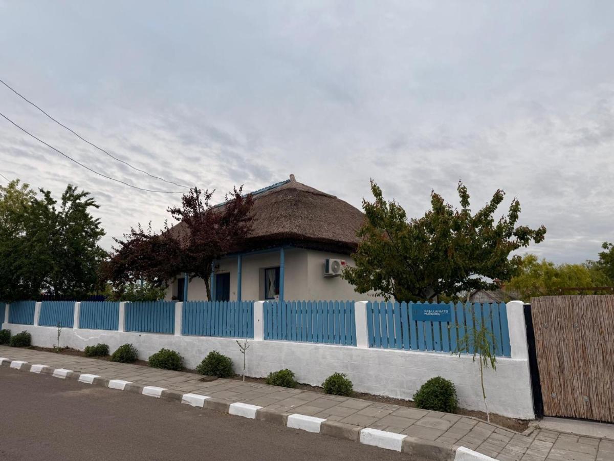 Casa lui Matei Murighiol#2 - B&B