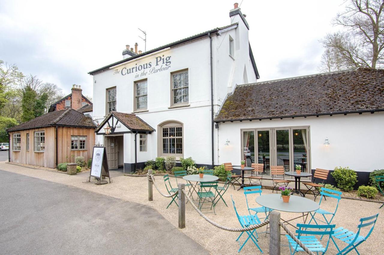 B&B Burstow - The Curious Pig in the Parlour - Bed and Breakfast Burstow