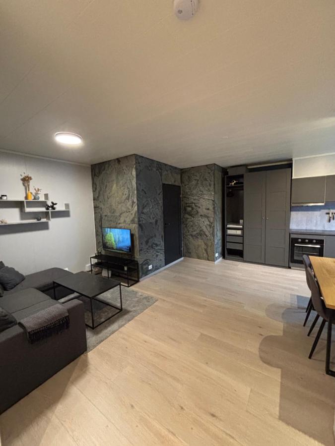 Vikavegen Stryn - Ferienwohnung Stryn