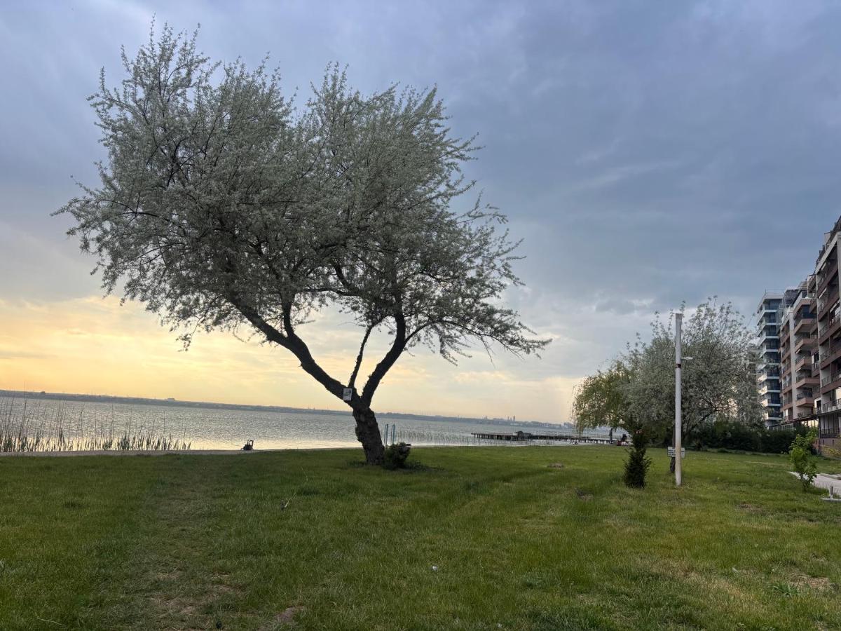 Mamaia Lake Residence - B&B