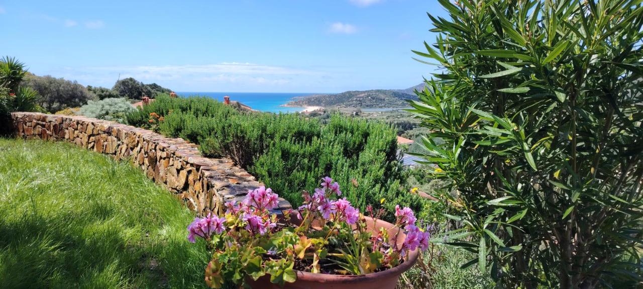 Villa Larica - B&B Chia