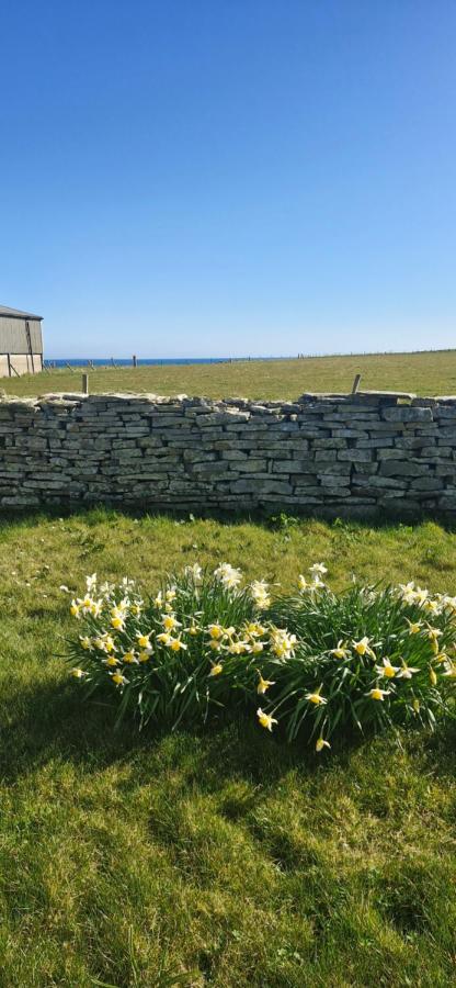 Greenatang,Shapinsay,Orkney - Bed and Breakfast Gretna Green