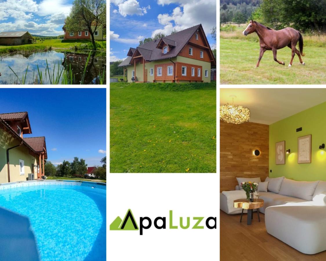 ApaLuza - pool - horses - nature - Chambres d’hôtes Kopaniec