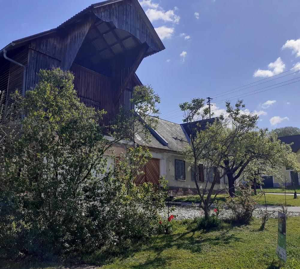 Apartment am Vierkanthof im Thermenland - B&B