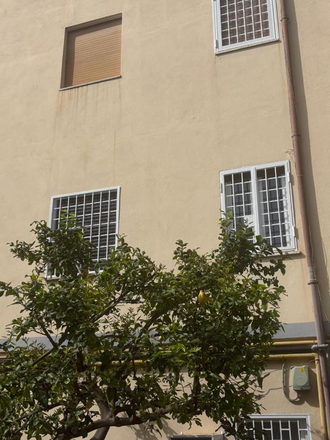 Sava House - B&B Rome