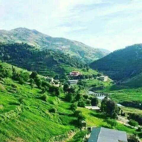 منزل - B&B