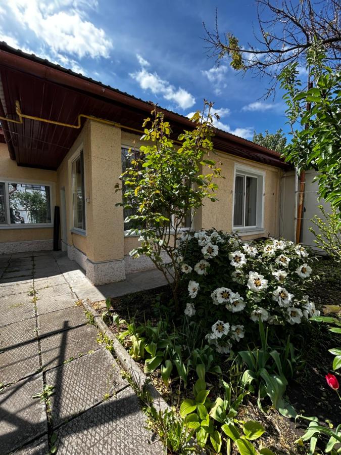 Дача на Фонтане - B&B