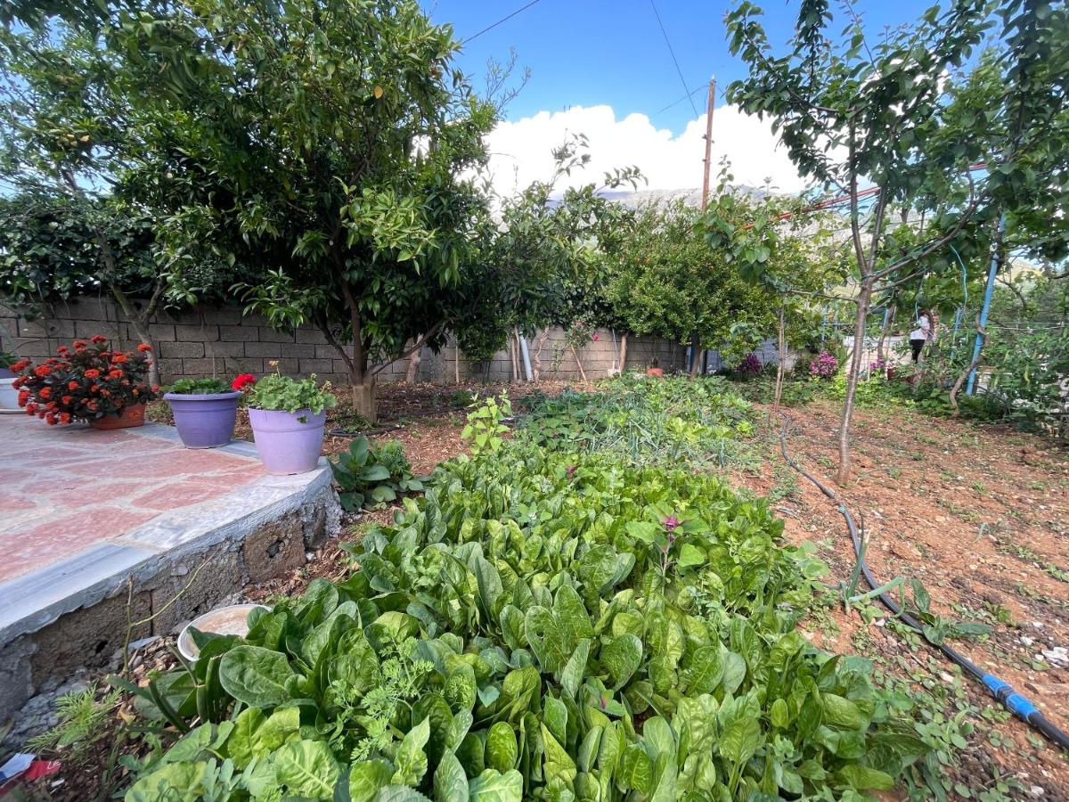 PANORAMIC VEW Xhanari Guesthouse Tepelene - B&B Tepelenë