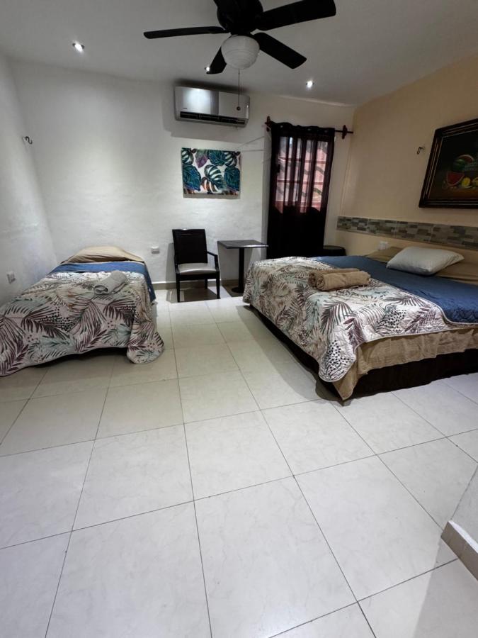 Apartamento de 1 dormitorio
