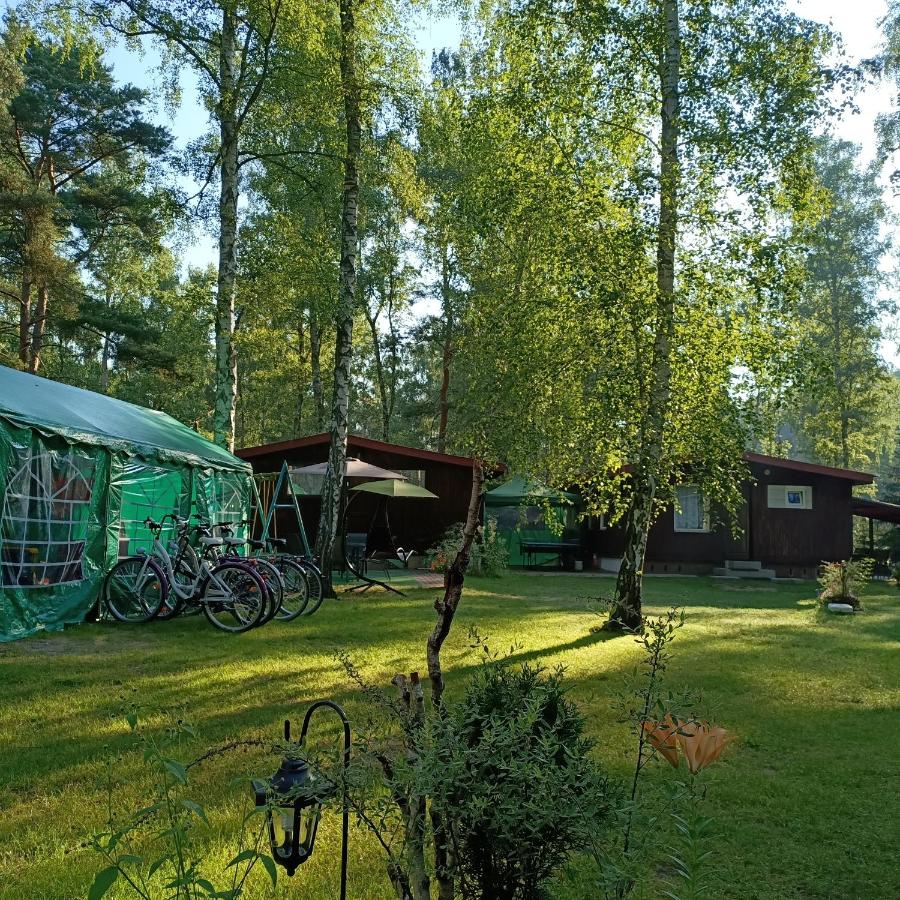 Ośrodek Wypoczynkowy Joanna Domek02 - B&B