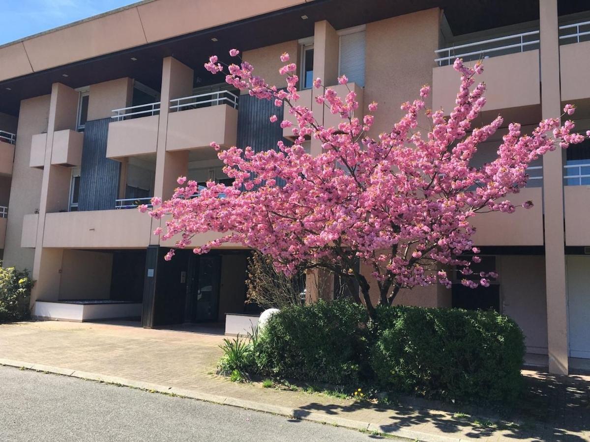 Beautiful Studio - Geneva Airport - Ferienwohnung Ferney-Voltaire