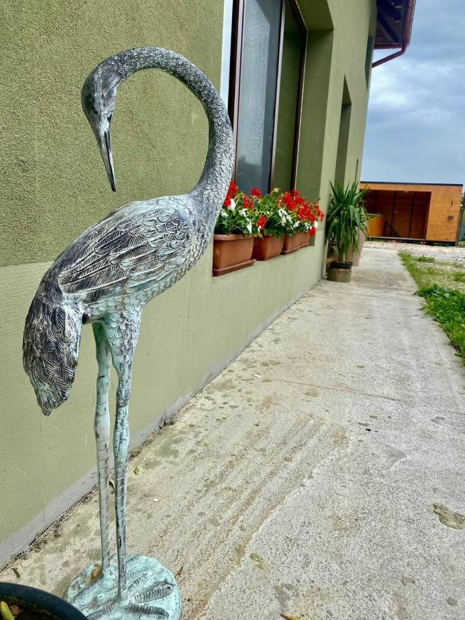 Casa David 13D - Chambres d’hôtes