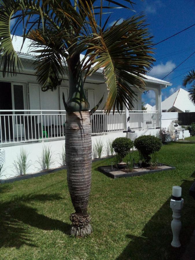 Le PalaSud - B&B Saint-Joseph