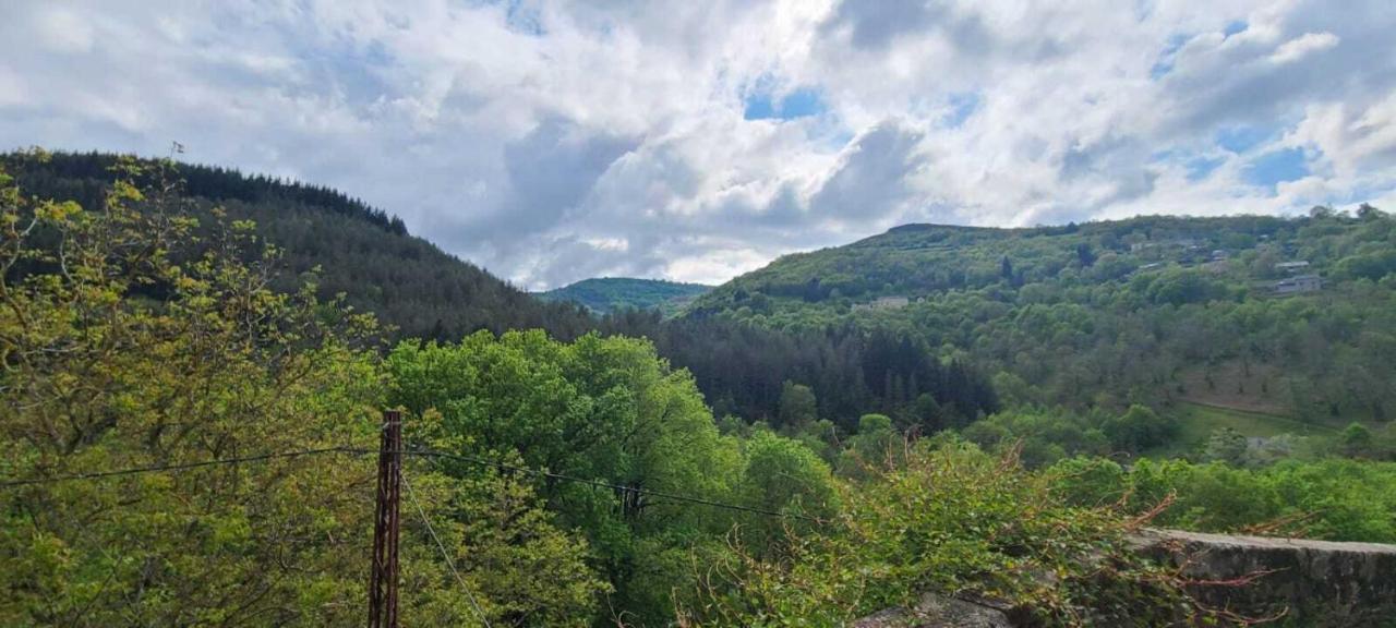 Les Copains a Bord - gites - B&B Saint-Julien-d'Arpaon