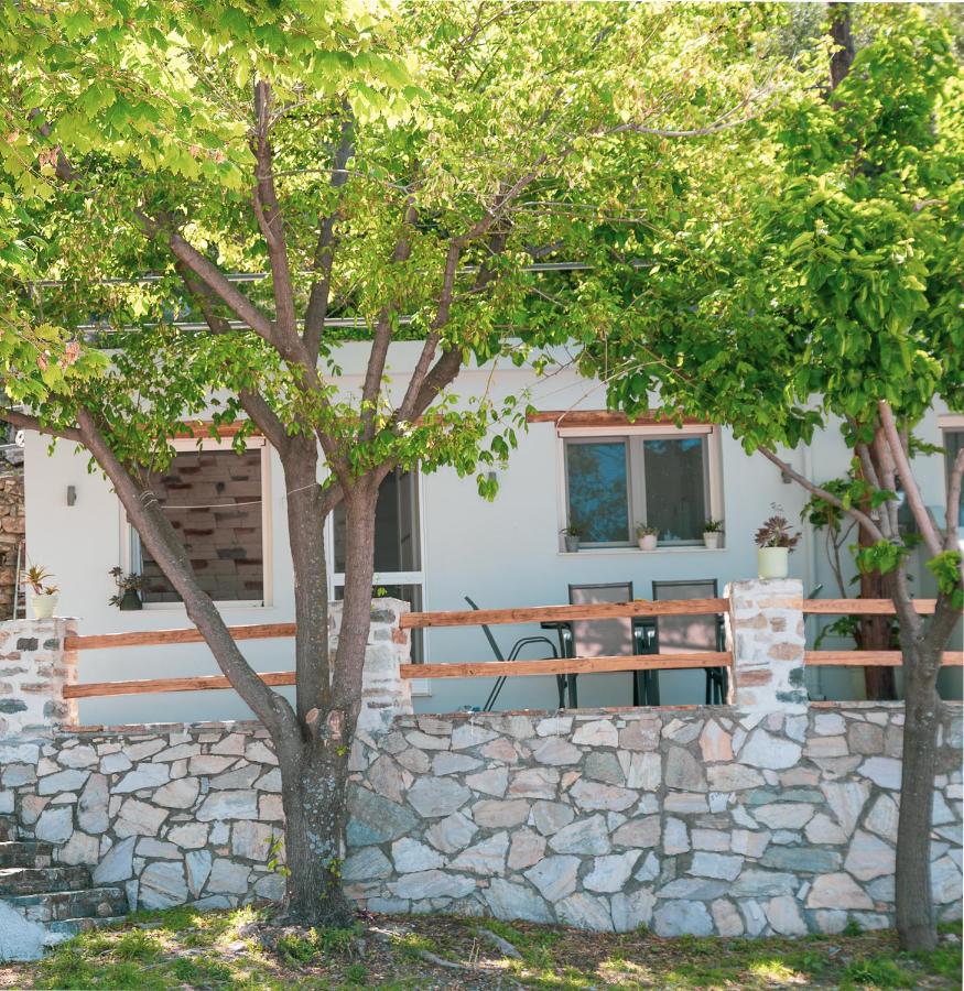 The Sea Rock House - B&B