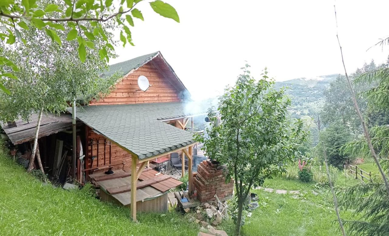 Cabana Dor De Munte - Bed and Breakfast Muntele Rece