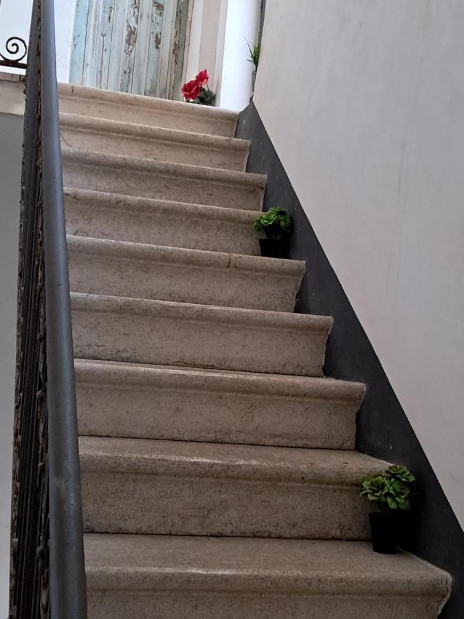 LA TERRAZZA ILLUMINATA luxury ROOFTOP - B&B Trapani