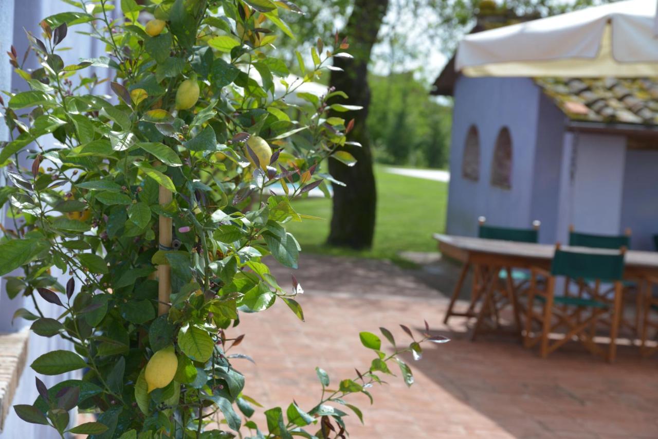 Casa Fontanino - B&B Altopascio