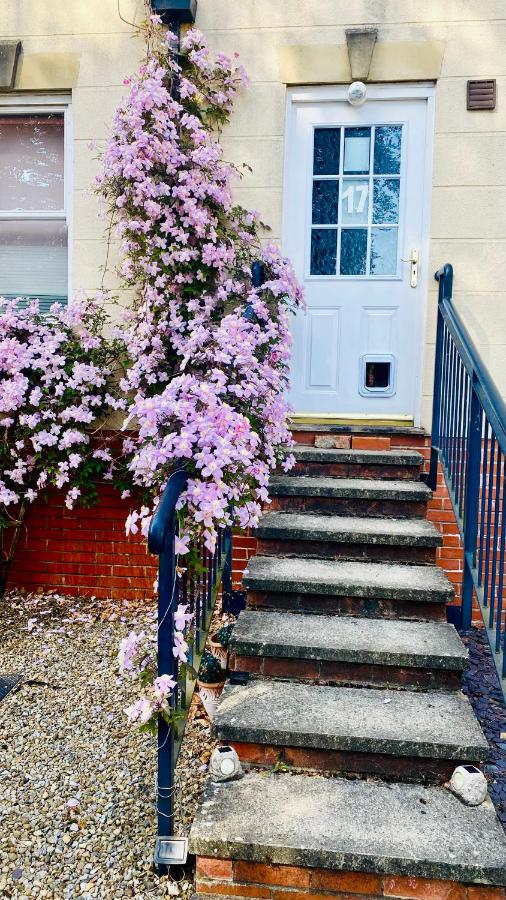 Modern ground floor apartment with free parking very near centre - B&B Ripon