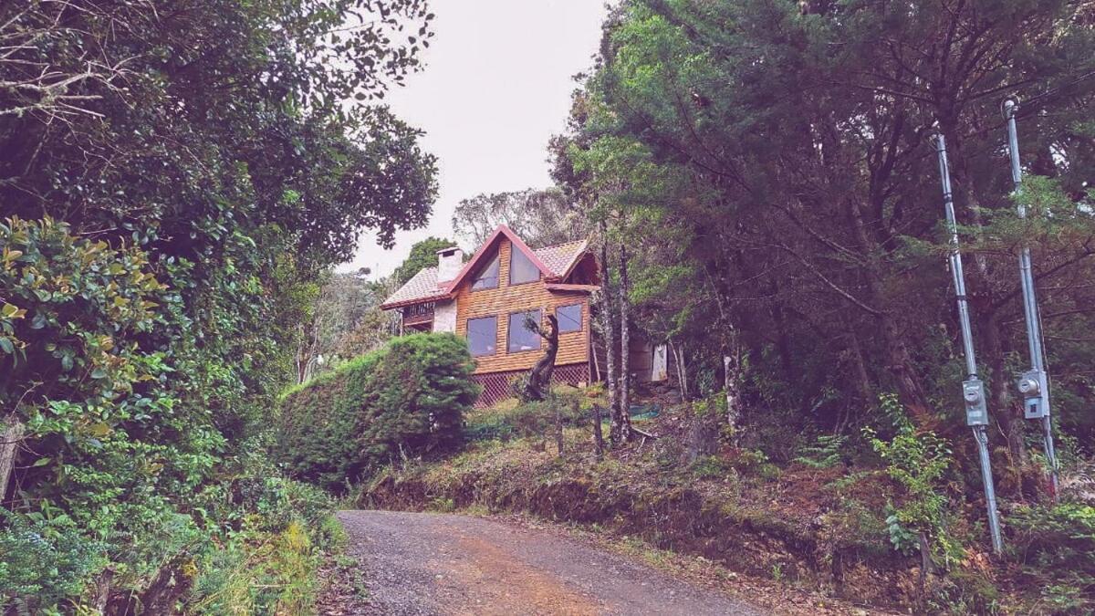 El Quetzalito Cabin - Ferienwohnung San Gerardo de Dota