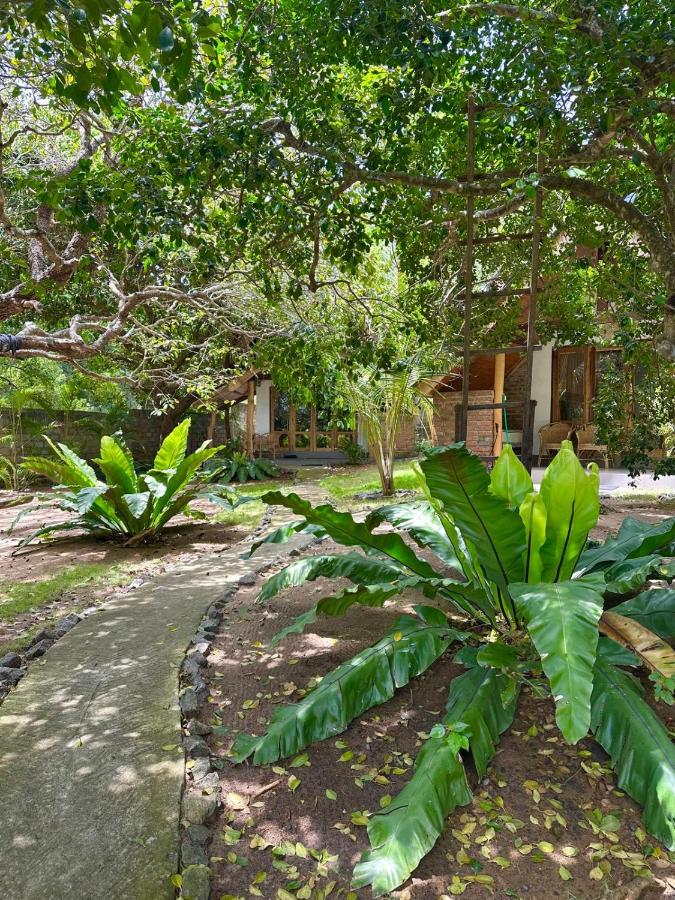 The Tree House - B&B Arugam Bay