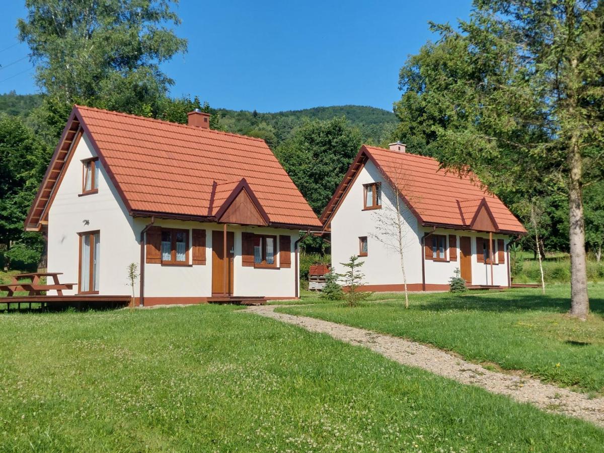 domek Bieszczadzkie Brzegi - Chambres d’hôtes
