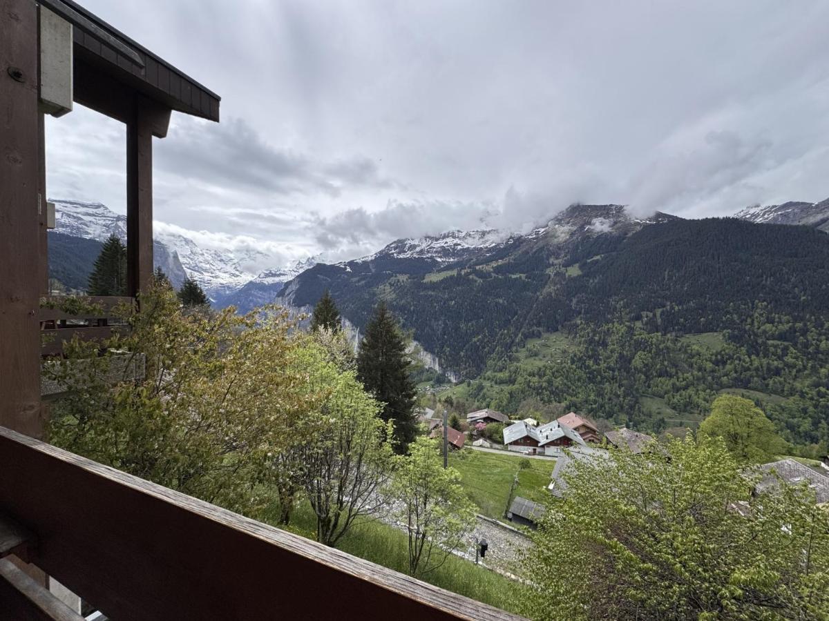 Chalet Primula 3 - B&B Wengen