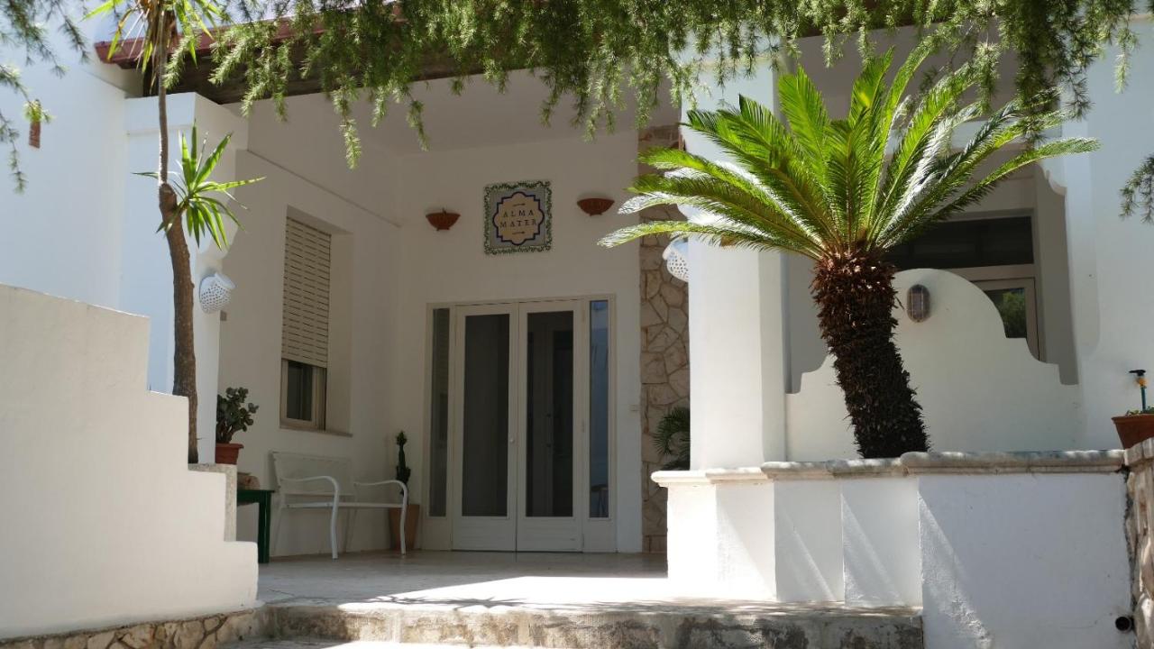 Affitta camere ALMA MATER - Ferienwohnung Castrignano del Capo
