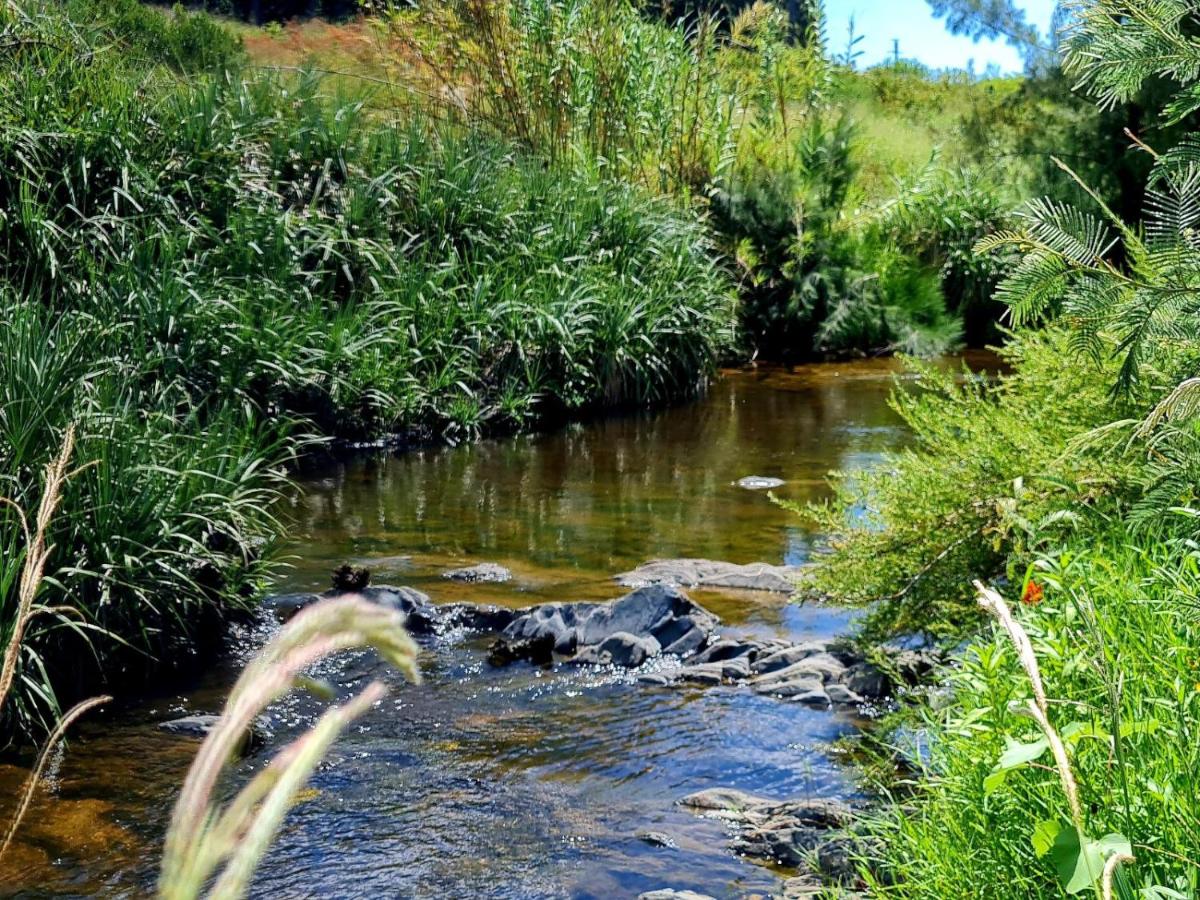 Blue Mountain Farm Lodge, Farm & Dam House - B&B Swellendam