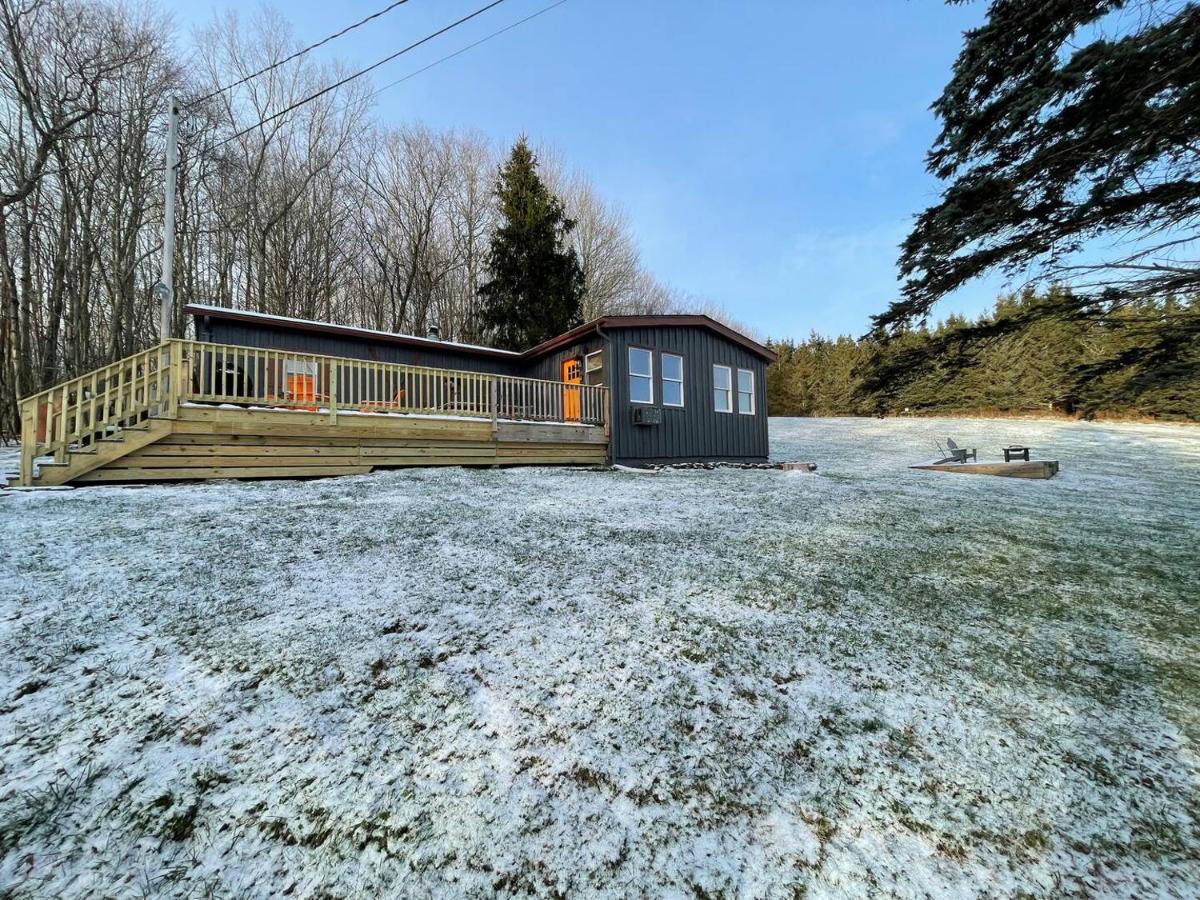 High-View Catskills Cabin - B&B