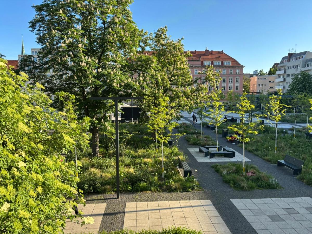 In the Heart of Wrocław Luxury Apartment - B&B