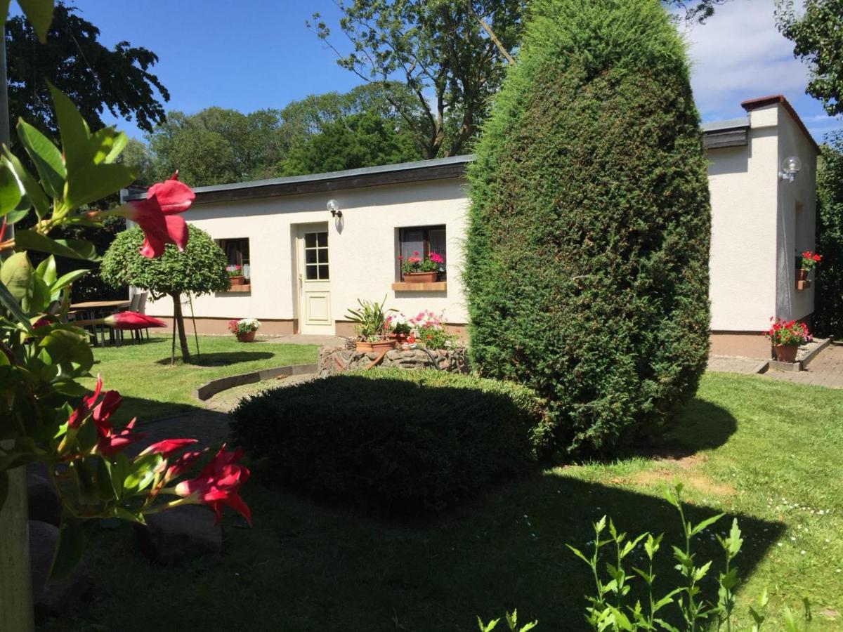 Ferienhaus an der südlichen Boddenküste - B&B Bartelshagen