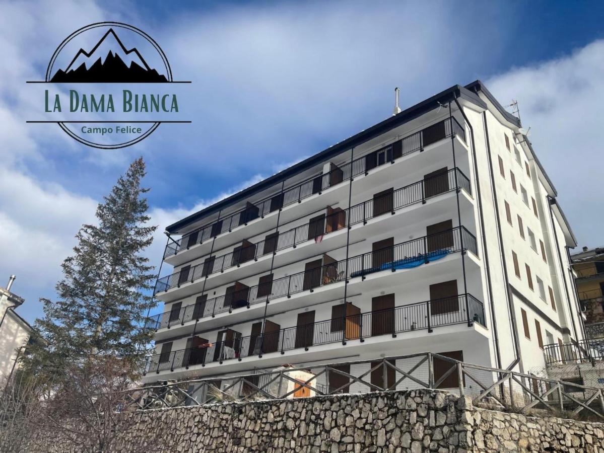 La Dama Bianca - Bed and Breakfast Casamaina