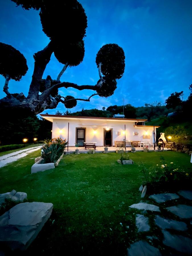 Alba in vigna Bed and Breakfast - B&B