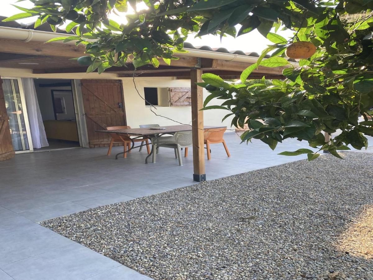 A casetta di l alivu - B&B Lucciana