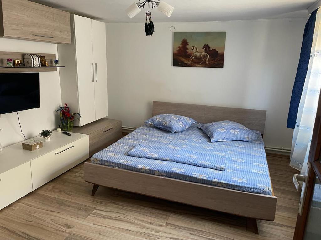 Căsuța Verde - Bed and Breakfast 2 Mai
