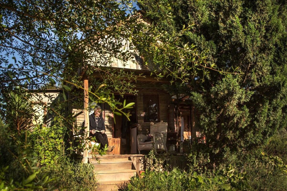 Wooden Cabin Barrydale - Bed and Breakfast Barrydale