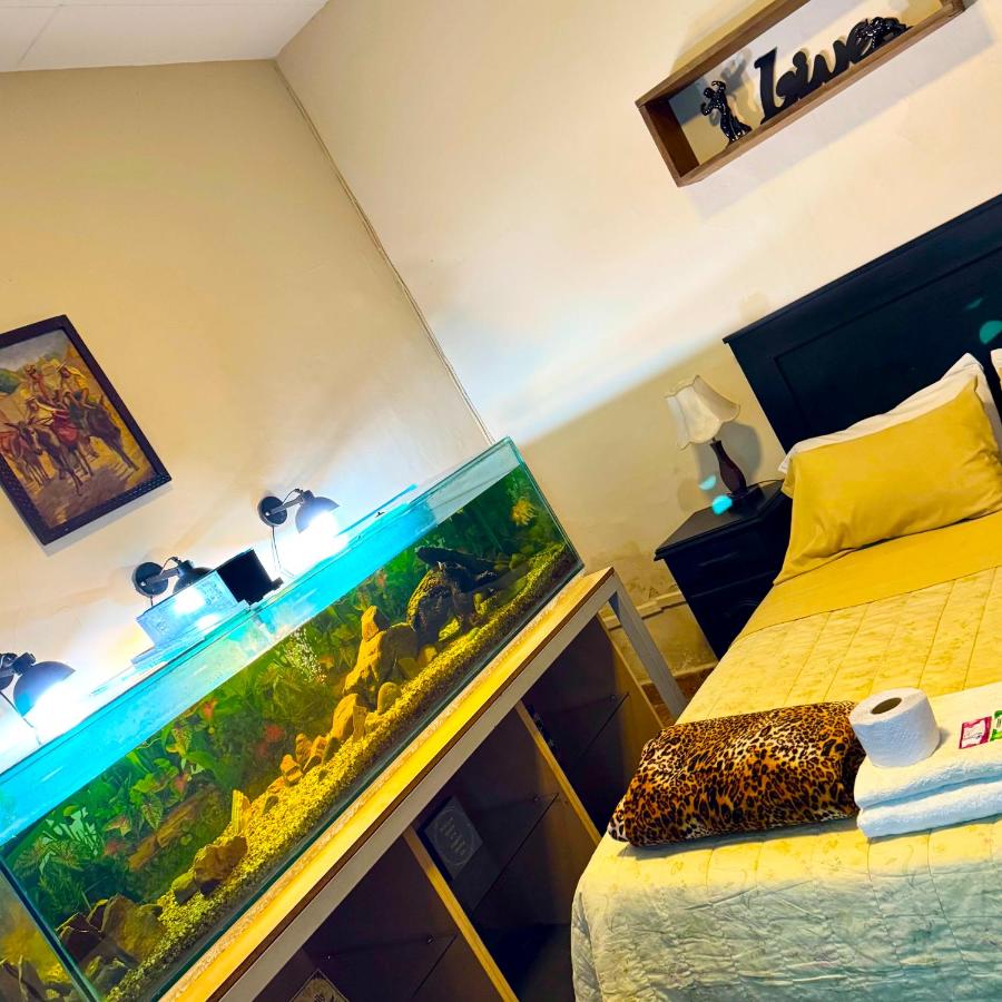 habitación relax, hermosos peces y plantas - B&B