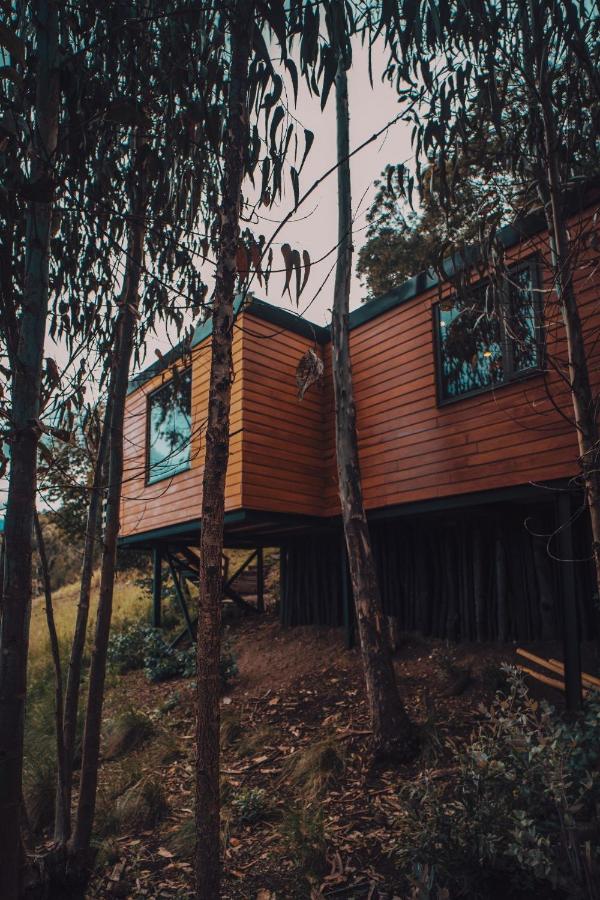 La Quinta Glamping - Lago de Tota - Chambres d’hôtes