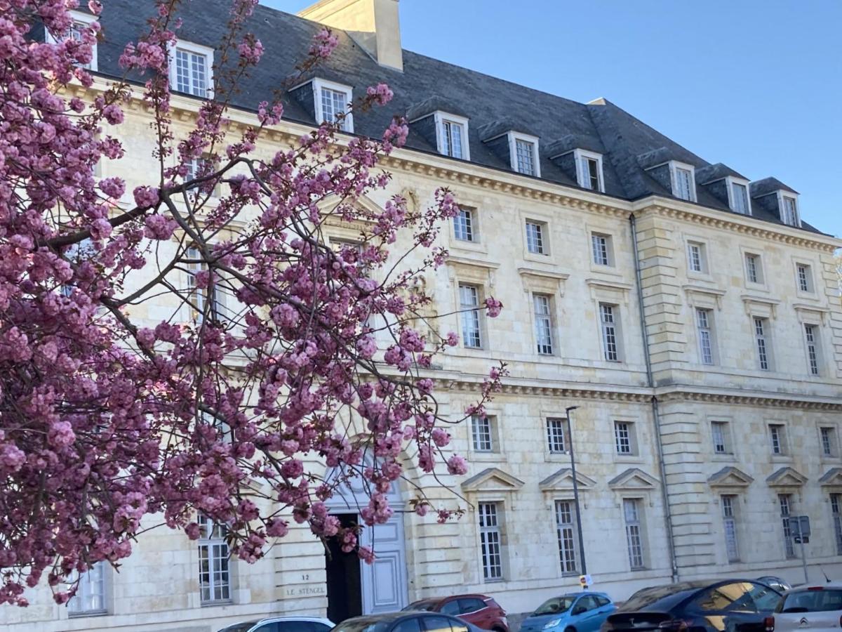 Elegant Apartment-Historic Residence in City Center, Quiet with Parking - Chambres d’hôtes
