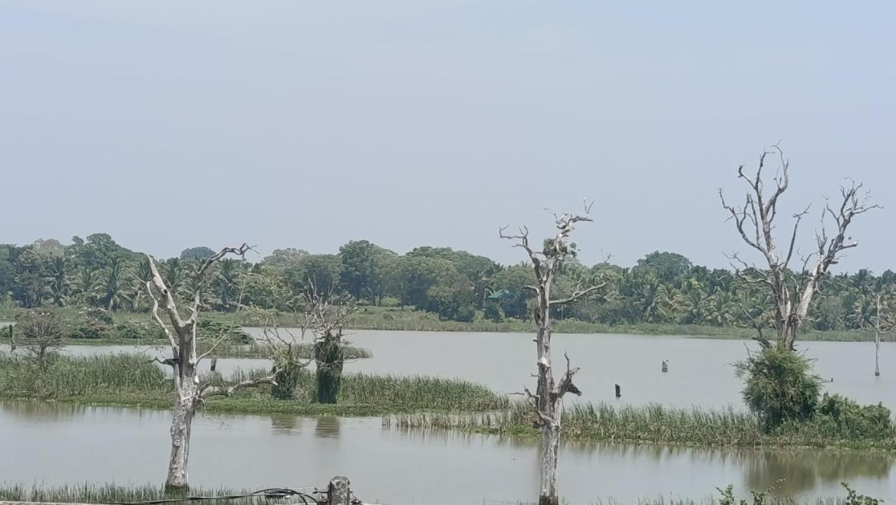 Sandaliya Rest - සඳලිය රෙස්ට් - Chambres d’hôtes Mailagama