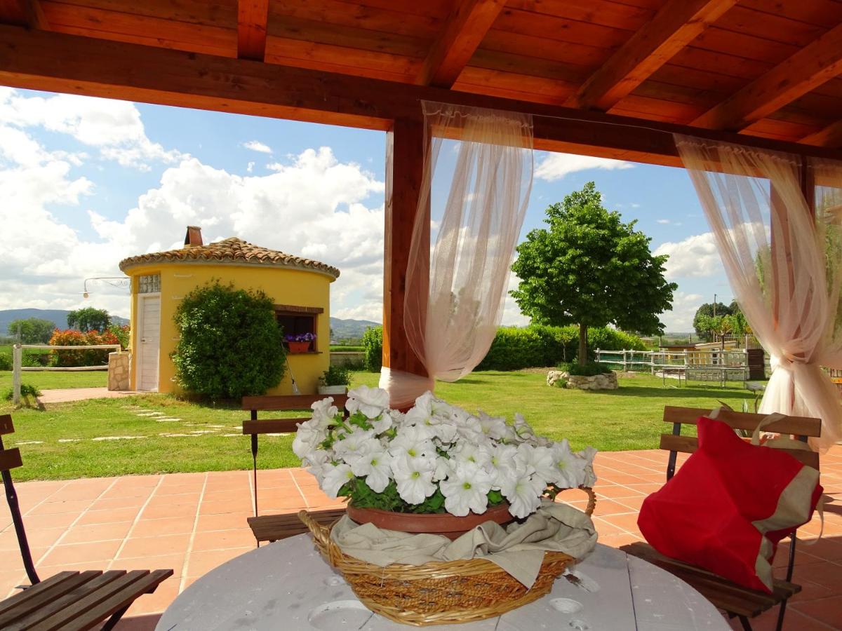 La Vecchia Stalla B&B - B&B Narni